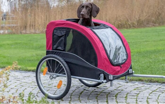 Remorque velo pour chien 40 kg : les meilleurs modèles de 2025